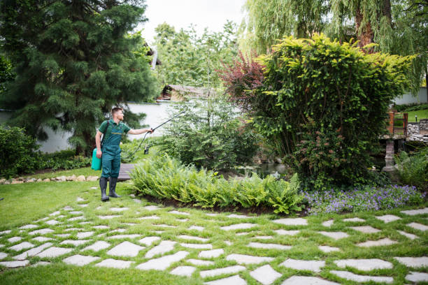 Best Best Pest Control Companies  in Silverton, OH