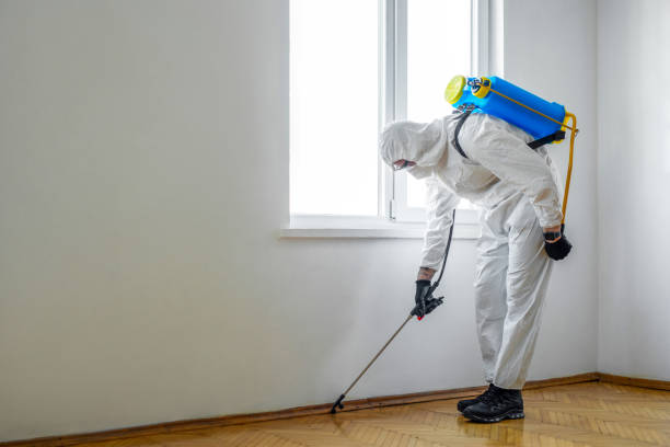 Best Termite Control Services  in Silverton, OH