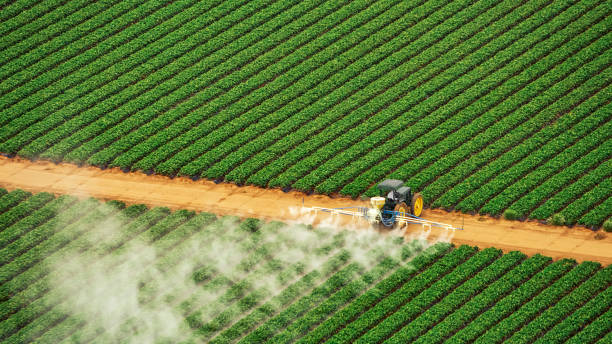 Best Pest Prevention Services  in Silverton, OH