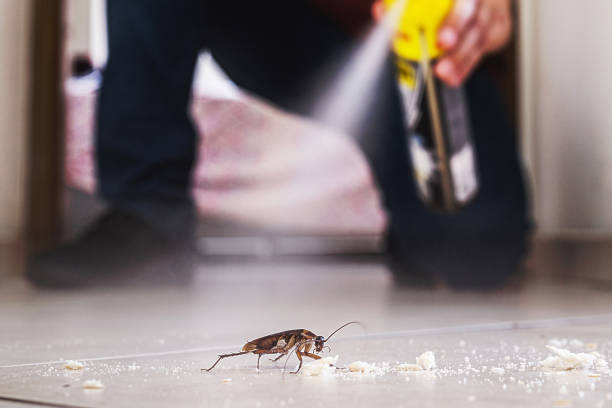 Best Pest Prevention Services  in Silverton, OH