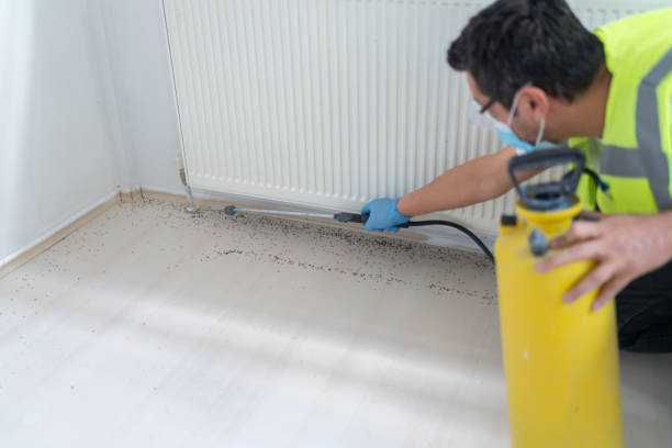 Best Emergency Pest Control  in Silverton, OH